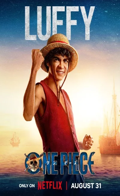 onepiececover